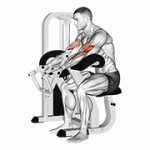 Fito App Machine Curl exercise demonstration with how-to guide and tips.