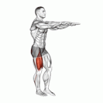 Fito App Single Leg Squat (pistol) exercise demonstration with how-to guide and tips.