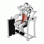 Fito App Lever Total Abdominal Crunch exercise demonstration with how-to guide and tips.
