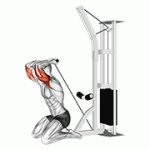 Fito App Cable Overhead Kneeling Triceps Extension exercise demonstration with how-to guide and tips.