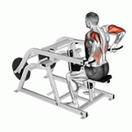 Fito App Lever Triceps Dip (plate Loaded) exercise demonstration with how-to guide and tips.