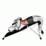 Fito App Weighted Decline Crunch exercise demonstration with how-to guide and tips.