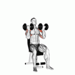 Fito App Dumbbell Arnold Press exercise demonstration with how-to guide and tips.