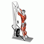 Fito App Ski Ergometer exercise demonstration with how-to guide and tips.