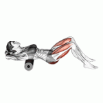 Fito App Roll Hip Thrust exercise demonstration with how-to guide and tips.