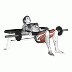 Fito App Barbell Hip Thrust exercise demonstration with how-to guide and tips.