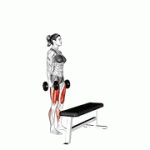 Fito App Dumbbell Step-up exercise demonstration with how-to guide and tips.