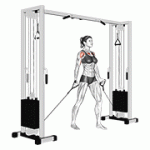 Fito App Cable Low Fly exercise demonstration with how-to guide and tips.