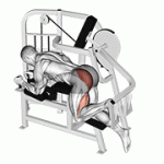 Fito App Lever Hip Extension exercise demonstration with how-to guide and tips.
