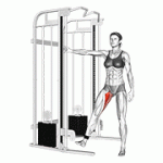 Fito App Cable Hip Adduction exercise demonstration with how-to guide and tips.
