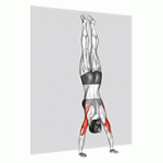 Fito App Wall-Supported Handstand Push up exercise demonstration with how-to guide and tips.