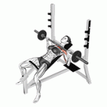 Fito App Barbell Incline Bench Press exercise demonstration with how-to guide and tips.