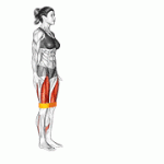 Fito App Band Lunge exercise demonstration with how-to guide and tips.