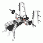 Fito App Barbell Bench Press exercise demonstration with how-to guide and tips.