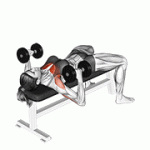 Fito App Dumbbell Lying Hammer Press exercise demonstration with how-to guide and tips.