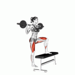 Fito App Barbell Step up exercise demonstration with how-to guide and tips.