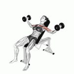 Fito App Dumbbell Incline Fly exercise demonstration with how-to guide and tips.