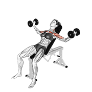 Dumbbell Incline Fly gym sessions: How-to, Guide and Tips