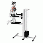 Fito App Assisted Chest Dip (kneeling) exercise demonstration with how-to guide and tips.