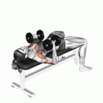 Fito App Dumbbell Close Grip Press exercise demonstration with how-to guide and tips.