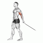 Fito App Cable One Arm Biceps Curl exercise demonstration with how-to guide and tips.