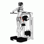 Fito App Lever Side Hip Abduction exercise demonstration with how-to guide and tips.