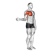 Shoulder - Medial Rotation (internal Rotation) gym sessions: How-to ...