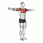 Fito App Shoulder - Transverse Flexion exercise demonstration with how-to guide and tips.