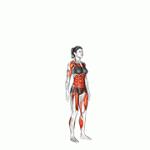 Fito App Burpee exercise demonstration with how-to guide and tips.