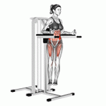 Fito App Twisted Leg Raise exercise demonstration with how-to guide and tips.