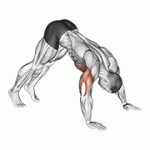 Fito App Pike Push up exercise demonstration with how-to guide and tips.