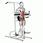 Fito App Captains Chair Straight Leg Raise exercise demonstration with how-to guide and tips.
