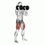Fito App Dumbbell Front Squat exercise demonstration with how-to guide and tips.