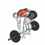 Fito App Barbell Pendlay Row exercise demonstration with how-to guide and tips.
