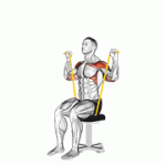 Fito App Band Seated Shoulder Press exercise demonstration with how-to guide and tips.