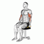Fito App Band Seated Biceps Curl exercise demonstration with how-to guide and tips.