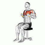Fito App Band Seated Chest Press exercise demonstration with how-to guide and tips.
