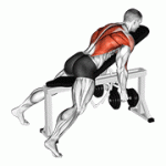 Fito App Dumbbell Hammer Grip Incline Bench Two Arm Row exercise demonstration with how-to guide and tips.