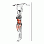 Fito App Hanging Straight Leg Hip Raise exercise demonstration with how-to guide and tips.