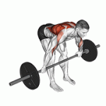 Fito App Barbell Bent Over Wide Grip Row exercise demonstration with how-to guide and tips.