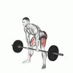 Fito App Barbell Sumo Romanian Deadlift exercise demonstration with how-to guide and tips.