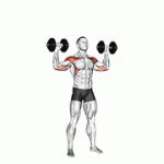 Fito App Dumbbell Alternate Shoulder Press exercise demonstration with how-to guide and tips.