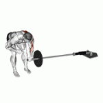 Fito App Landmine One Arm Bent Over Row exercise demonstration with how-to guide and tips.