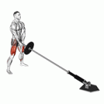 Fito App Landmine Sumo Squat exercise demonstration with how-to guide and tips.