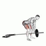 Fito App Landmine Romanian Deadlift exercise demonstration with how-to guide and tips.