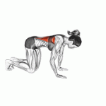 Fito App Kneeling Lat Stretch exercise demonstration with how-to guide and tips.