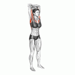 Fito App Standing Reach-up Back Rotation Stretch exercise demonstration with how-to guide and tips.