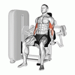 Fito App Lever Biceps Curl exercise demonstration with how-to guide and tips.