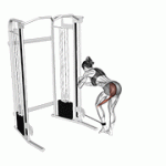 Fito App Cable Donkey Kickback exercise demonstration with how-to guide and tips.