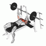Fito App Barbell Pause Bench Press exercise demonstration with how-to guide and tips.